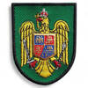 Emblem city helmet terrestrial forces | beret, cap, hat, beret - embroidered on green background with black  outline