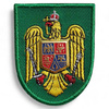 Emblem city helmet terrestrial forces | beret, cap, hat, beret - embroidered on green background with green outline