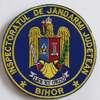 Emblema Inspectoratul de jandarmi judetean Bihor, emblema IJJ BIHOR, cu aplicare Velcro (cu scai)