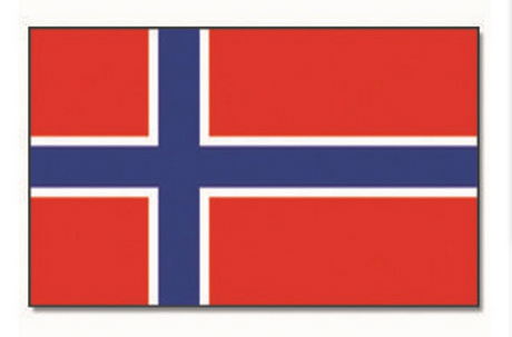 Steag Norvegia