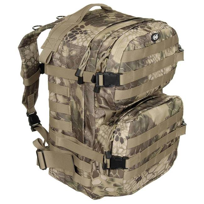 GEANTA, GHIOZDAN, RUCSAC "Assault II" - 40 l - FG