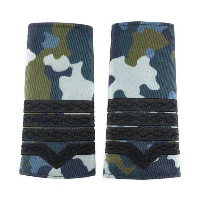 GRADE MILITARE AVIATIE COMBAT, GRADE MAISTRU MILITAR CL 2 AVIATIE