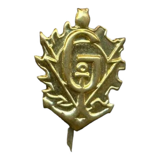 INSIGNA DE ARMA GENIU - SURPLUS MILITAR DE LA ARMATA ROMANA