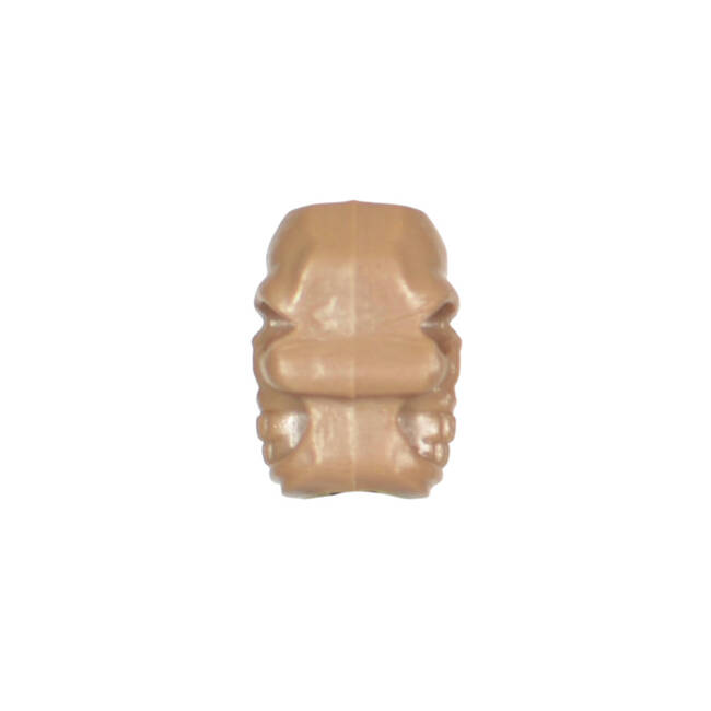 MARGEA PENTRU SNUR SKULL STOPPER BEAD - COYOTE BROWN - M-TAC